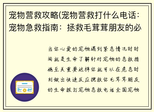 宠物营救攻略(宠物营救打什么电话：宠物急救指南：拯救毛茸茸朋友的必备知识)